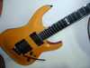 ESP HORIZON2 1-2.jpg